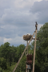 Resize of IMG_9331.jpg