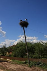 Resize of IMG_1053.jpg