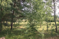 Resize of IMG_1232.JPG