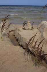 Resize of IMG_1813.JPG