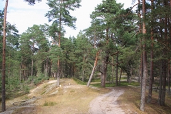 Resize of IMG_1434.JPG