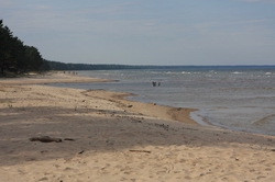 Resize of IMG_1486.JPG