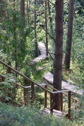 Resize of IMG_1542.JPG