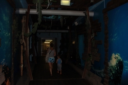 Resize of IMG_1826.JPG