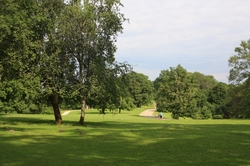 Resize of IMG_1982.JPG