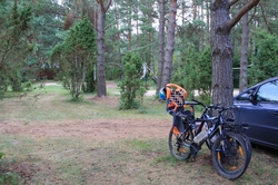 Resize of IMG_9501.jpg