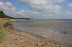 Resize of IMG_9519.jpg