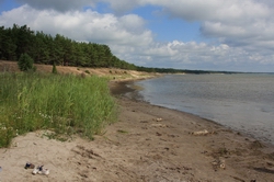 Resize of IMG_9520.jpg