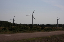 Resize of IMG_9641.jpg