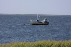 Resize of IMG_9686.jpg