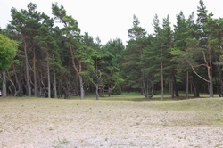 Resize of IMG_9826.jpg