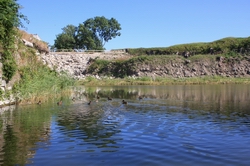 Resize of IMG_0039.jpg