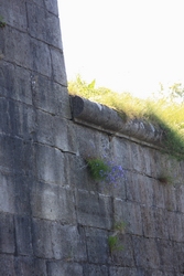 Resize of IMG_0071.jpg