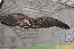 Resize of IMG_0148.jpg