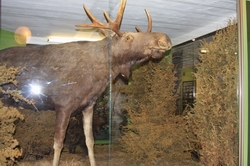 Resize of IMG_0150.jpg