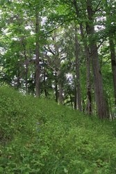 Resize of IMG_0208.jpg