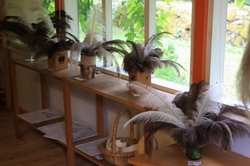 Resize of IMG_0237.jpg