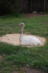 Resize of IMG_0253.jpg