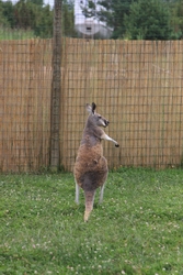 Resize of IMG_0265.jpg