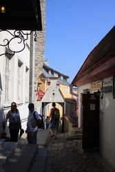 Resize of IMG_0540.jpg