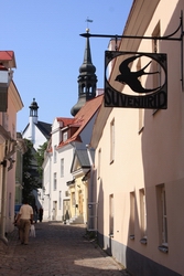 Resize of IMG_0567.jpg