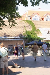 Resize of IMG_0586.jpg