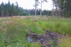 Resize of IMG_1069.jpg