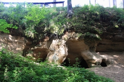 Resize of IMG_1086.jpg