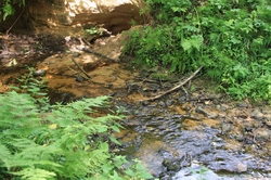 Resize of IMG_1089.jpg