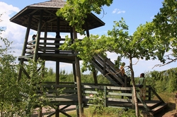 Resize of IMG_1138.jpg