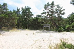 Resize of IMG_1183.jpg