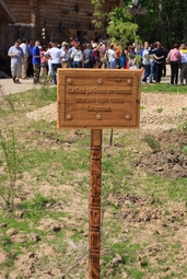 Resize of IMG_8168.JPG