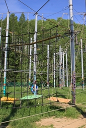 Resize of IMG_8263.JPG