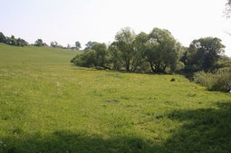 Resize of IMG_8287.JPG