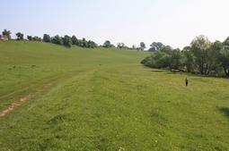 Resize of IMG_8299.JPG