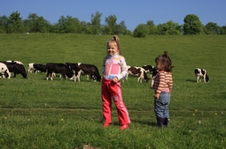 Resize of IMG_8309.JPG