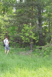 Resize of IMG_8338.JPG