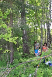 Resize of IMG_8351.JPG