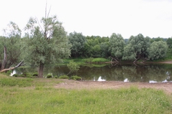 Resize of IMG_8362 Удобный подъезд, добный спуск на воду. На место мы приехали в 9-30.JPG