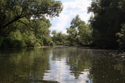 Resize of IMG_8415 Воря очень интересна для походов.JPG
