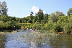 Resize of IMG_8433.JPG