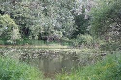 Resize of IMG_8563 .JPG