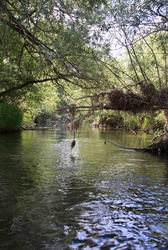 Resize of IMG_8587 Как в джунглях ))).JPG