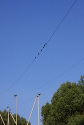 Resize of IMG_8673.JPG