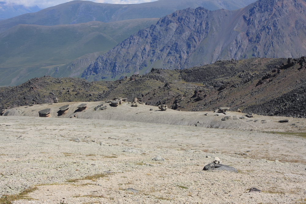 IMG_2931 Долина грибов.JPG