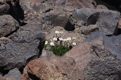 Resize of IMG_2906.JPG