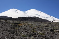 Resize of IMG_2930.JPG