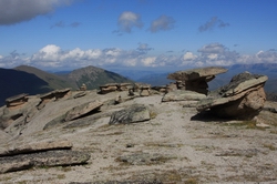 Resize of IMG_2941.JPG