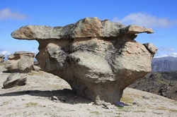 Resize of IMG_2954.JPG