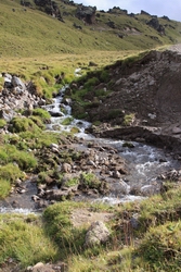 Resize of IMG_2981 .JPG